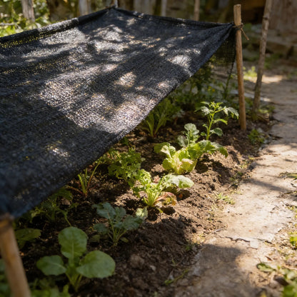 Malla Sombra Hdpe 90% 1 Metro Uv Reforzada Negro