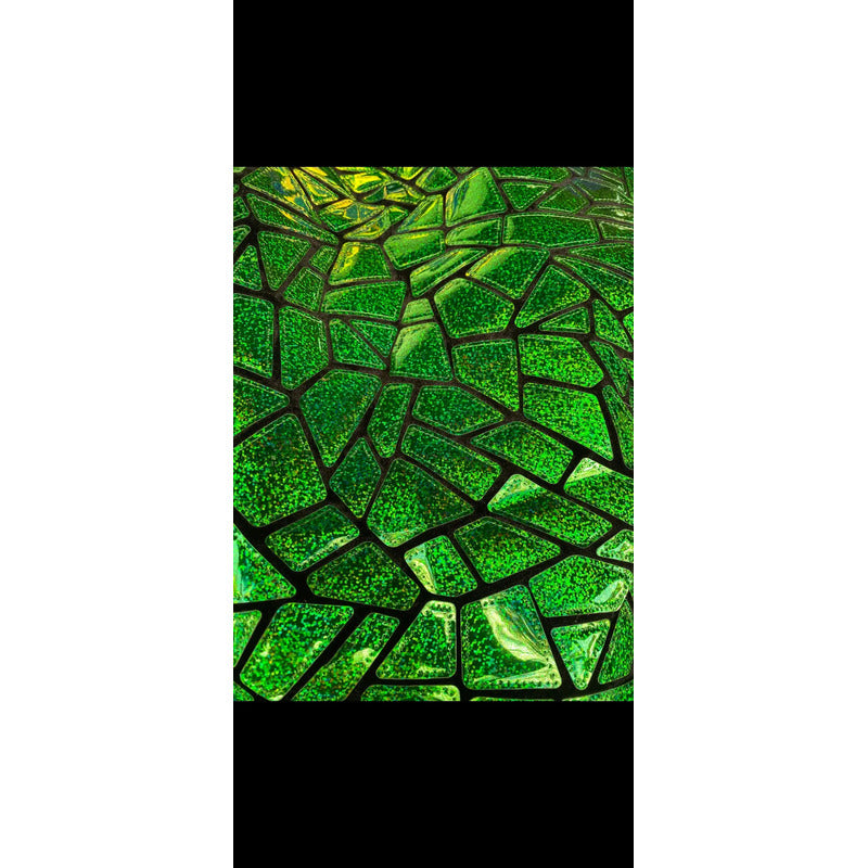 Tela Premium De Terciopelo Con Espejo Vestuario Circo (5m) Verde Holografico Terciopelo Espejo